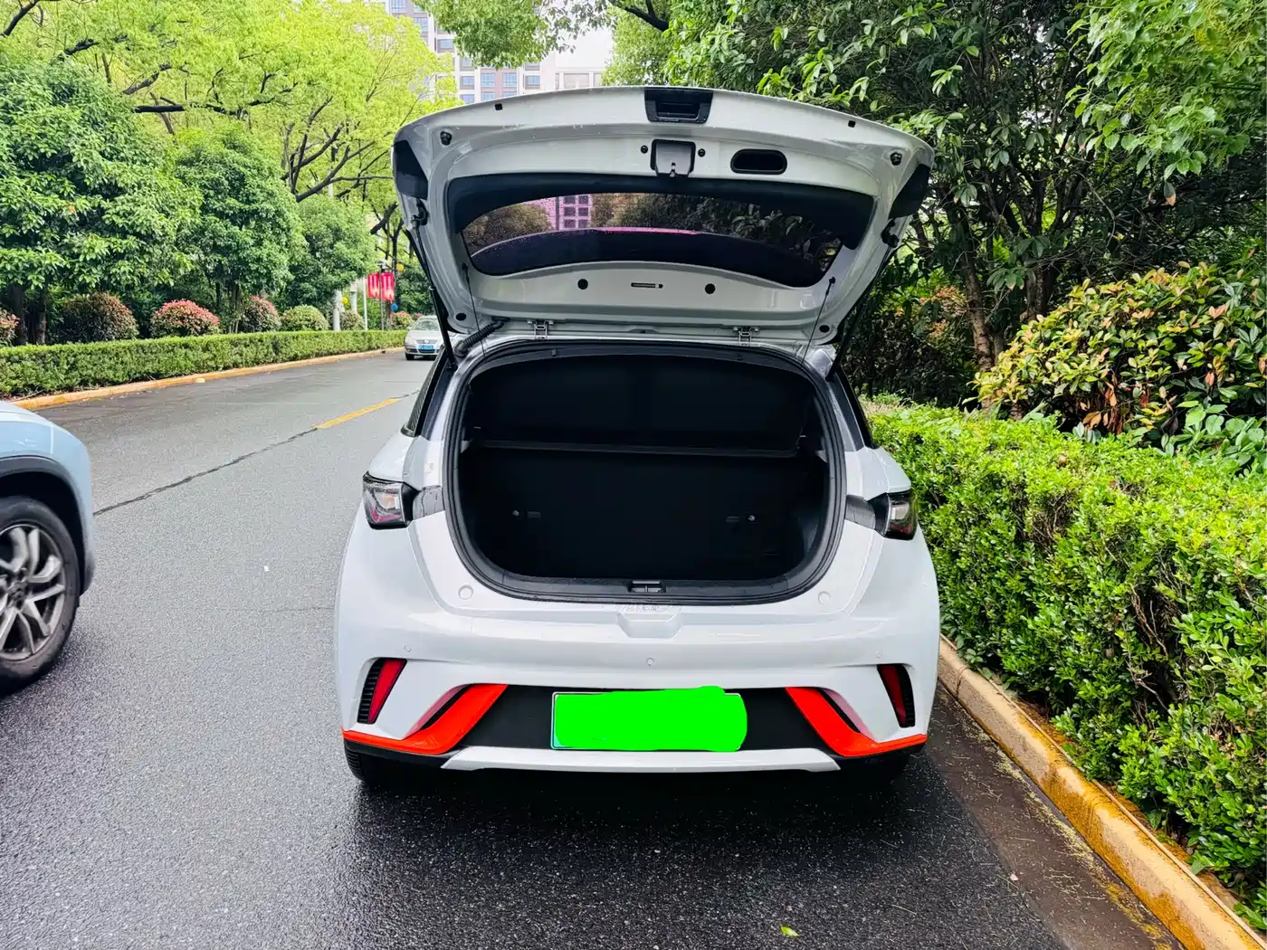 BYD Dolphin 2023 420km Freedom Edition фото 15
