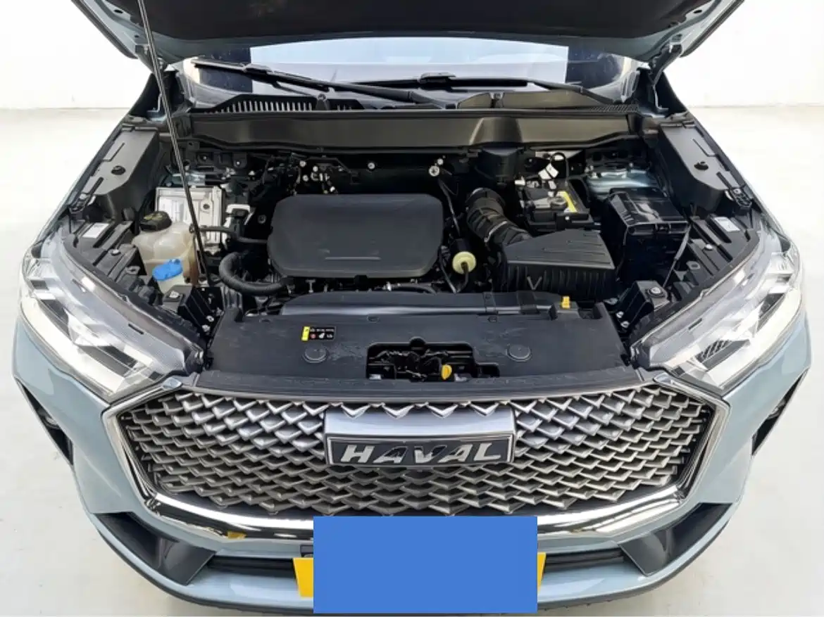 Haval H6 2022 3rd Gen 1.5T Auto 2WD Pro фото 16