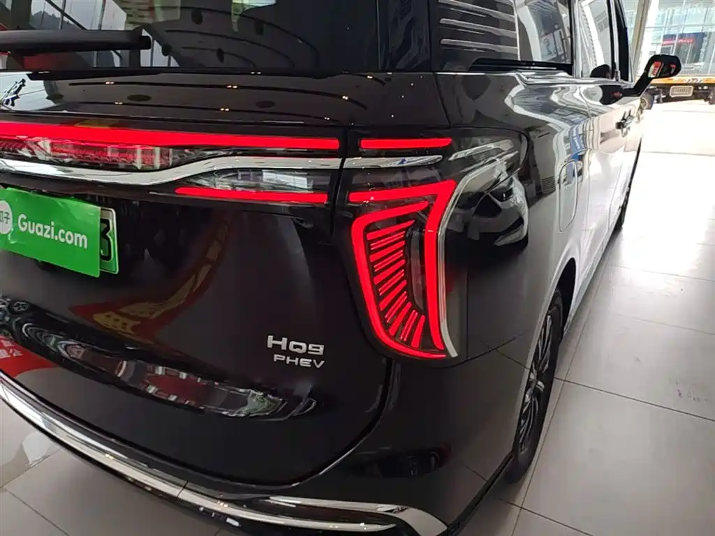 Hongqi HQ9 PHEV 2024 Model 2.0T AWD Luxury Edition фото 8