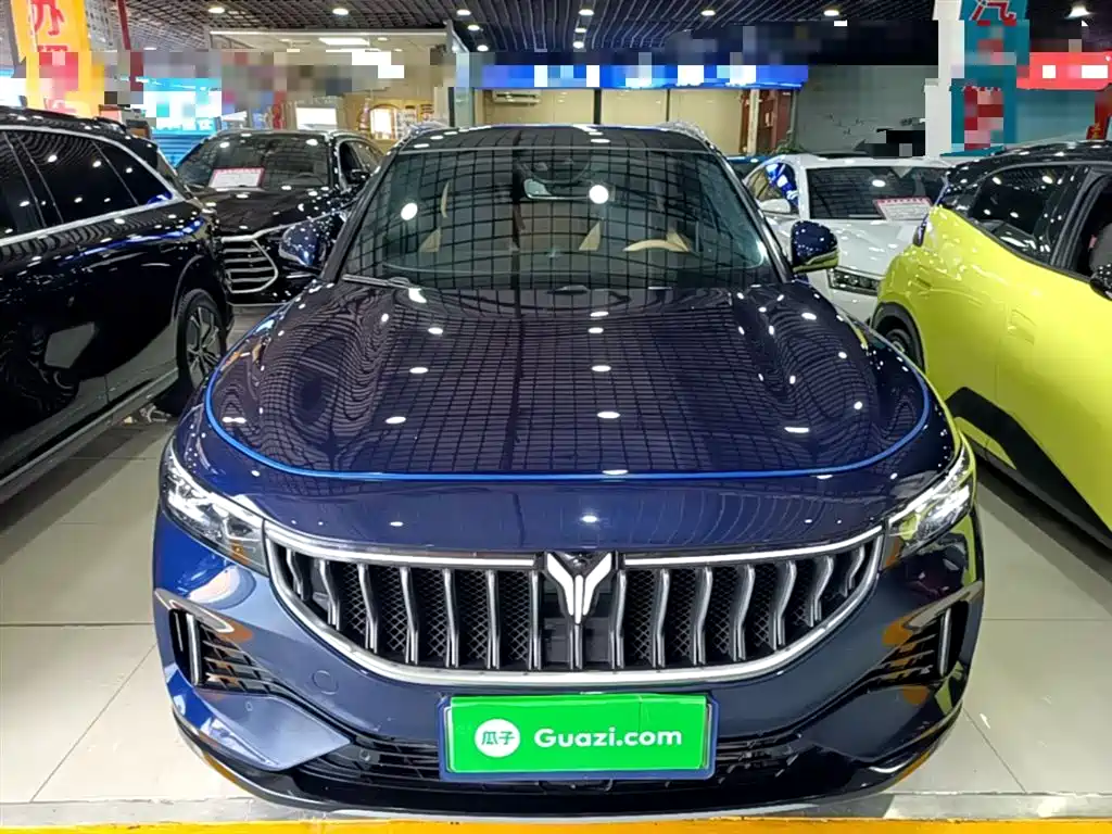 Voyah Auto VOYAH FREE 2021 AWD Standard Range Extender Exclusive Luxury Package фото 3