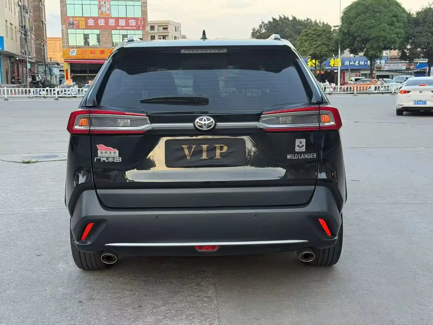 Toyota Wildlander 2021 2.0L CVT 2WD Luxury Edition фото 4