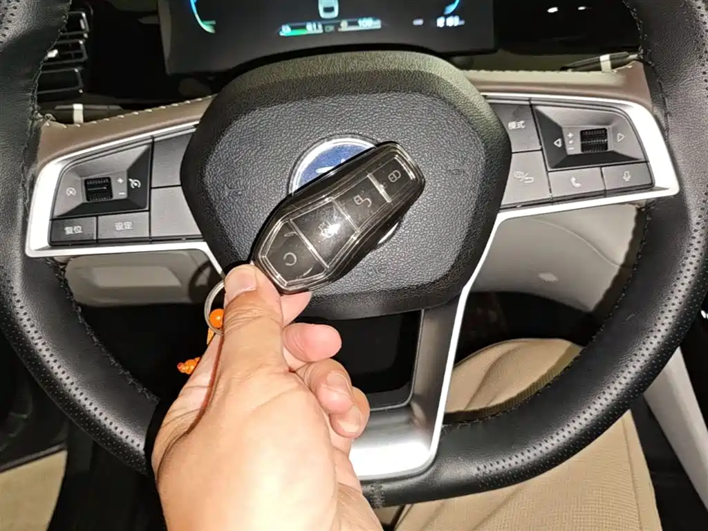BYD Qin PLUS 2024 Glory Edition DM-i 55KM Leading фото 9
