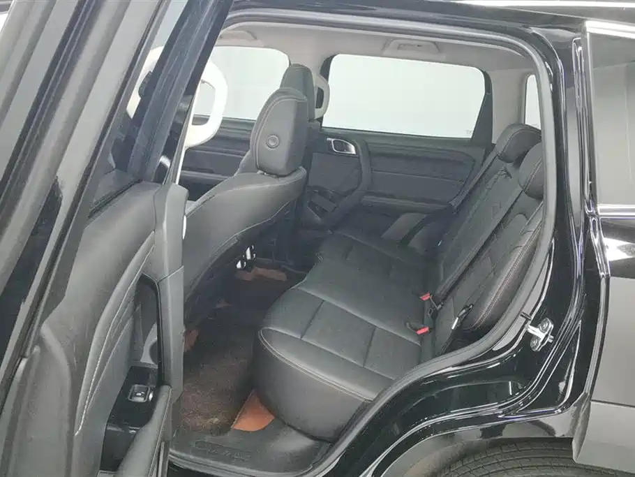 Haval Big Dog 2024 1.5T DCT Border Collie Edition фото 11