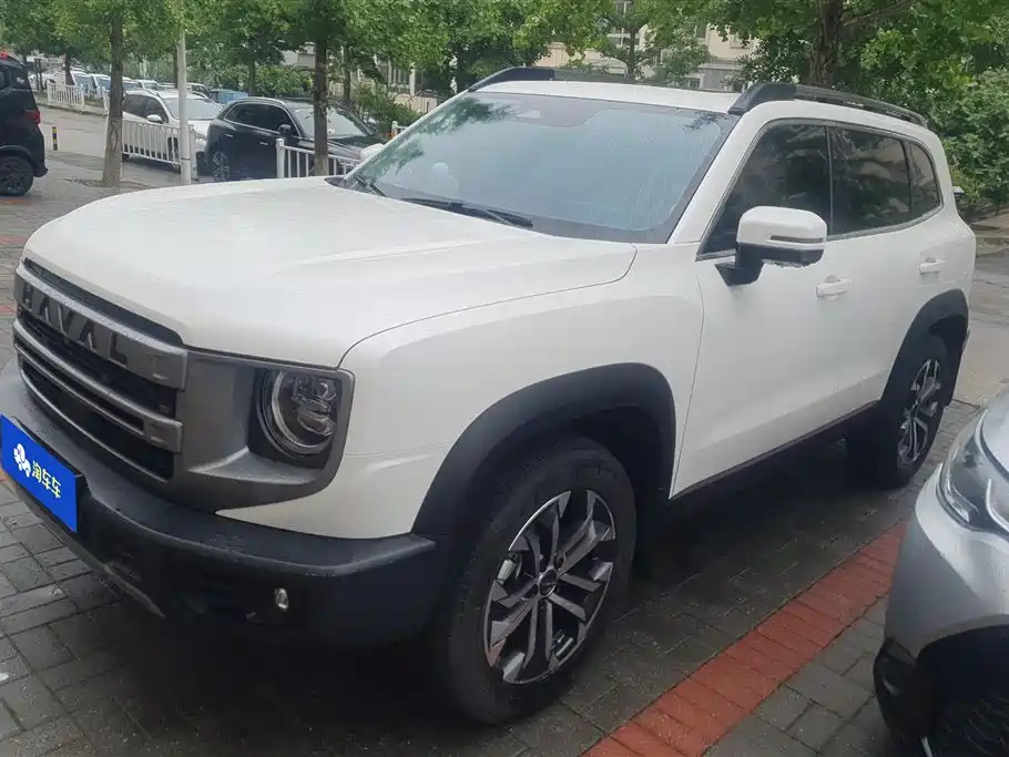 Haval Big Dog 2024 1.5T DCT Border Collie Edition