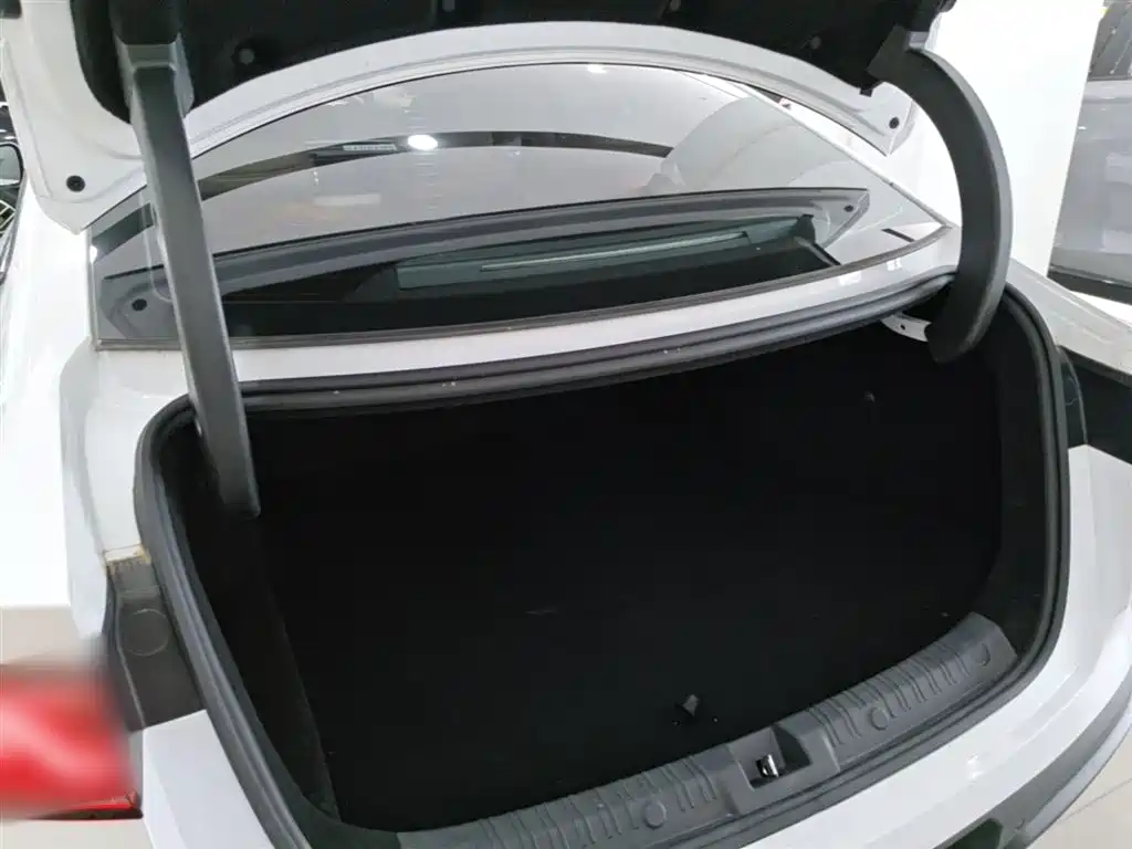 BYD Qin L 2024 DM-i 80KM Leading Edition фото 19