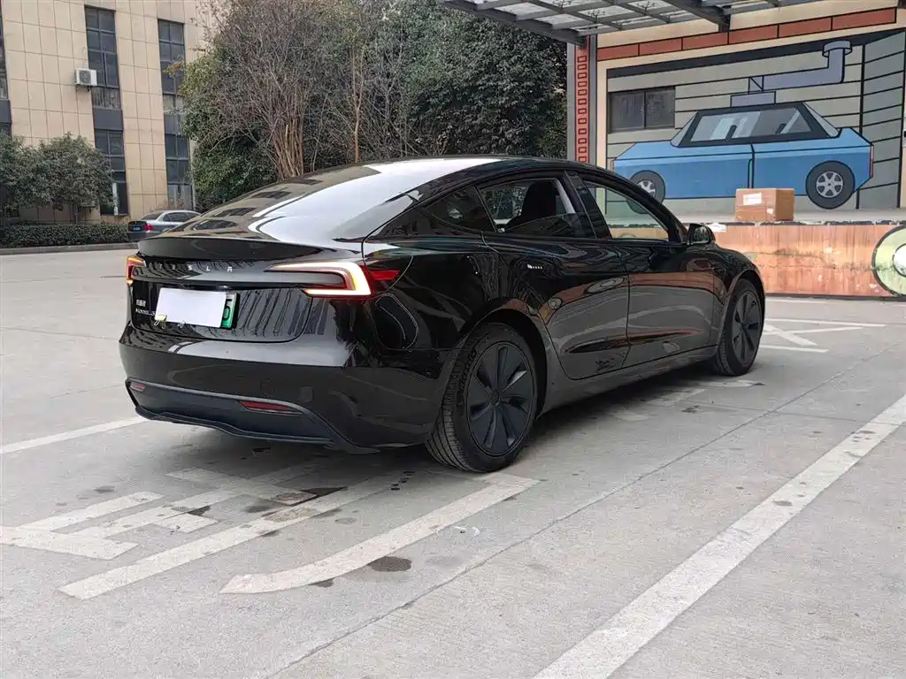 Tesla Model 3 2023 Rear-Wheel Drive фото 16