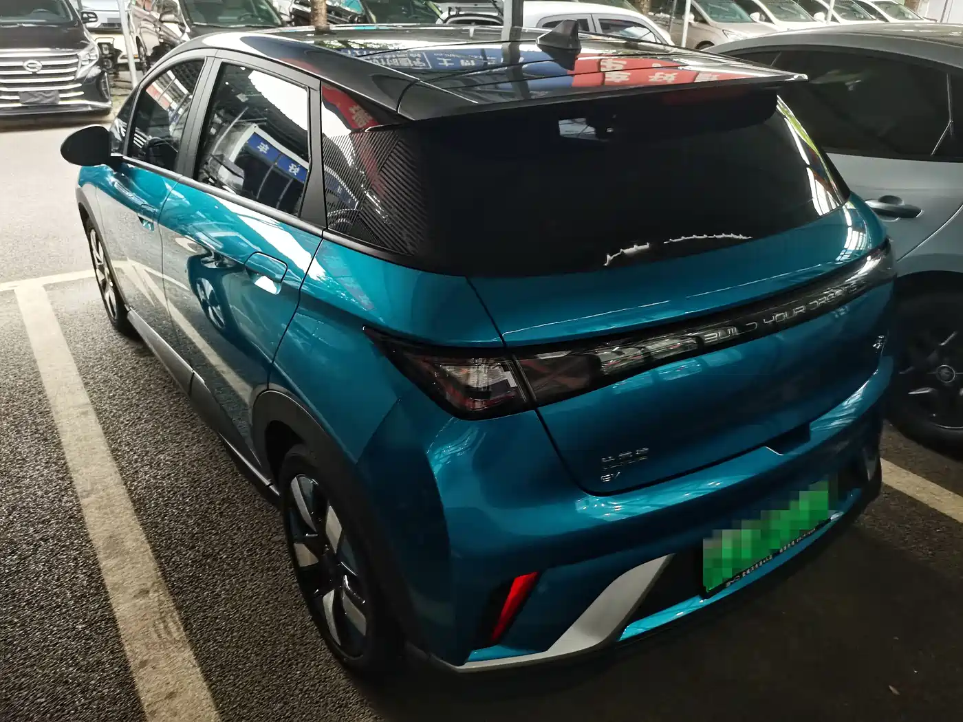 BYD Dolphin 2021 401km Knight Edition фото 9