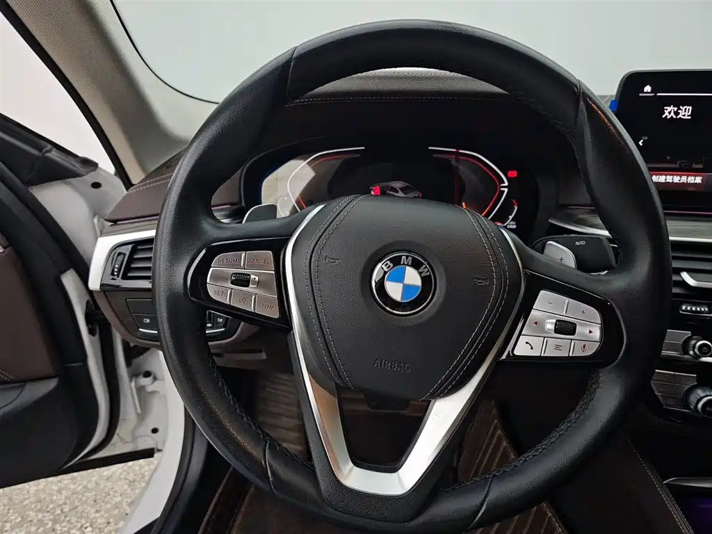BMW 5 Series 2023 530Li Leading Luxury Package фото 11