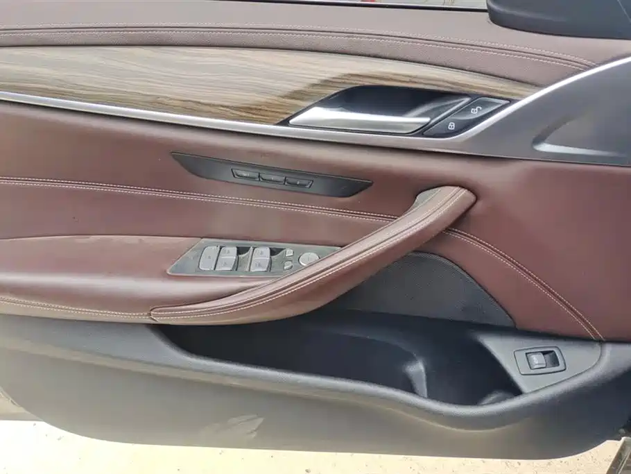 BMW 5 Series 2020 530Li Leading M Sport Package фото 7