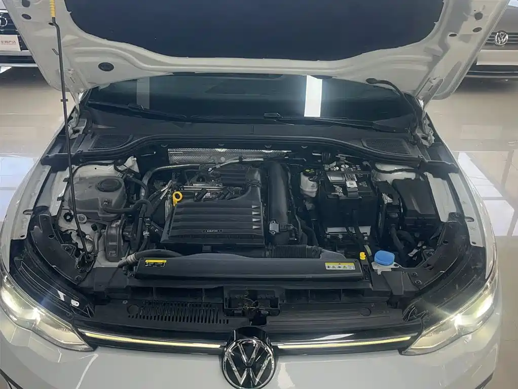 Volkswagen Golf 2021 280TSI DSG Pro фото 19