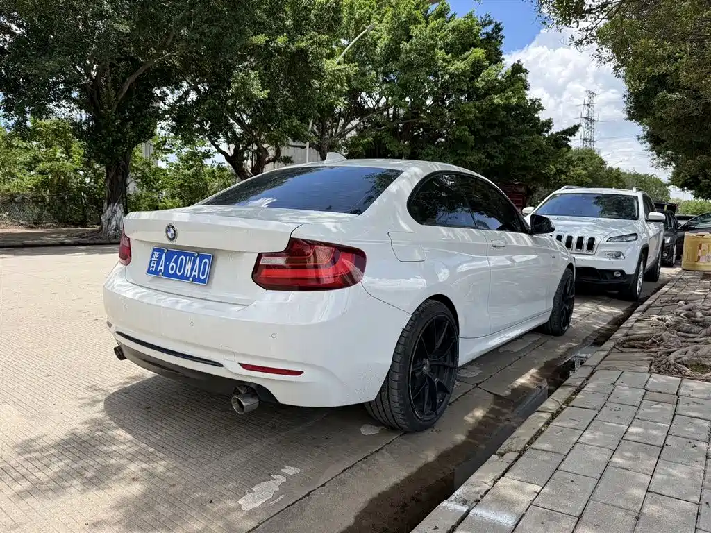 BMW 2 Series (Import) 2014 2014 220i Leading