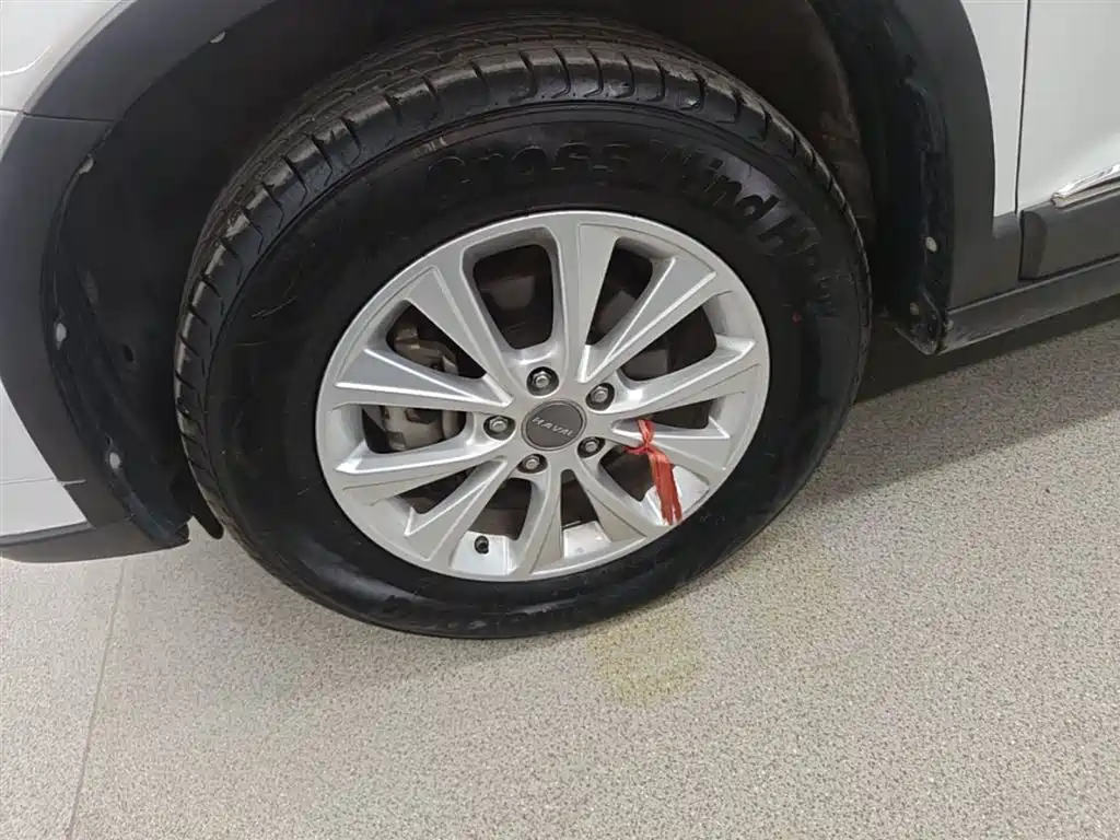 Haval H6 2018 Red Label Sport 1.5T Manual 2WD Elite фото 25
