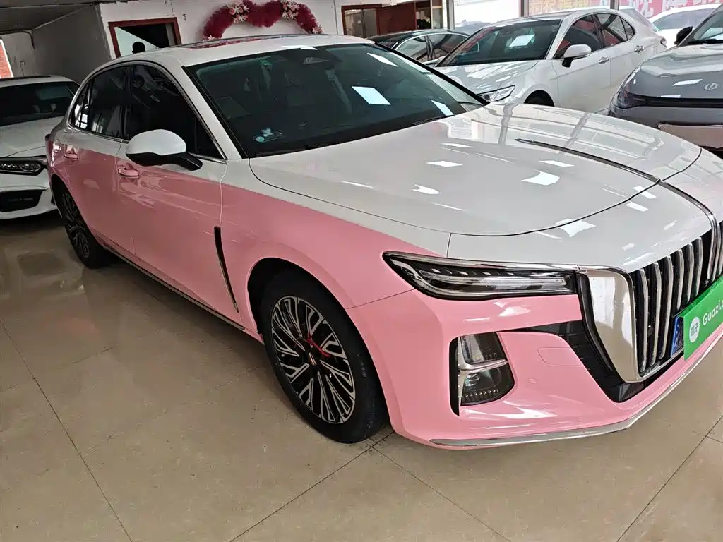 Hongqi H5 2023 2.0T Auto Smart Connect Flag Comfort фото 4