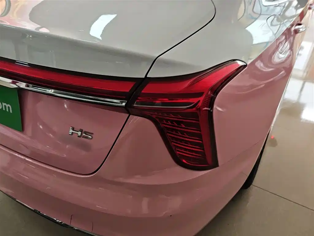 Hongqi H5 2023 2.0T Auto Smart Connect Flag Comfort фото 8