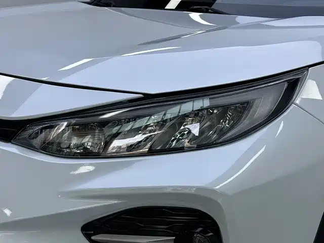 Toyota Wildlander 2021 2.0L CVT 2WD Luxury Edition фото 13