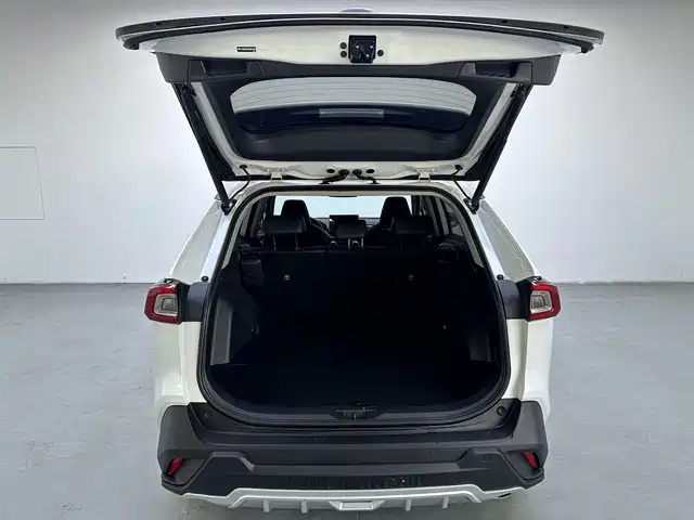 Toyota Wildlander 2021 2.0L CVT 2WD Luxury Edition фото 15