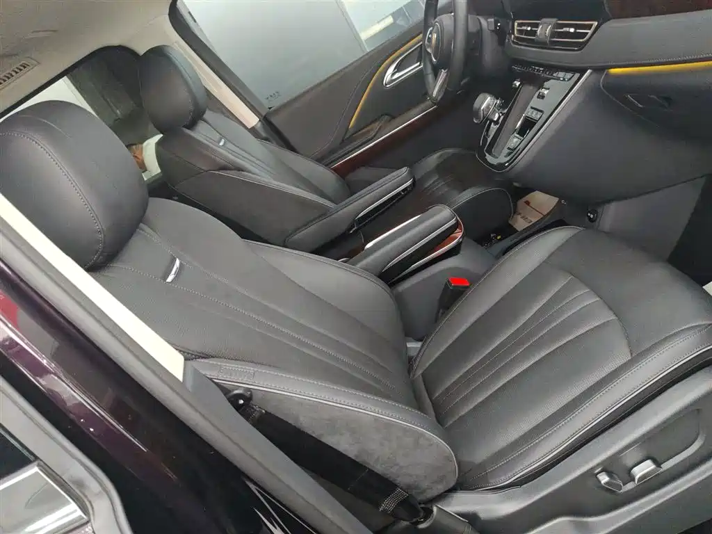 Hongqi HQ9 PHEV 2024 Model 2.0T AWD Luxury Edition фото 20