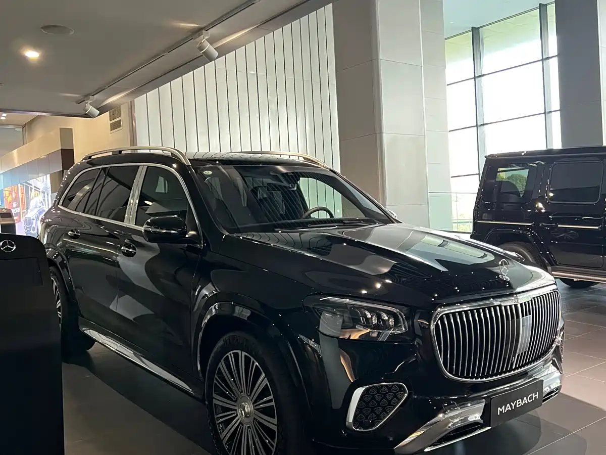 Mercedes-Benz Maybach GLS 2025 GLS 480 4MATIC фото 3