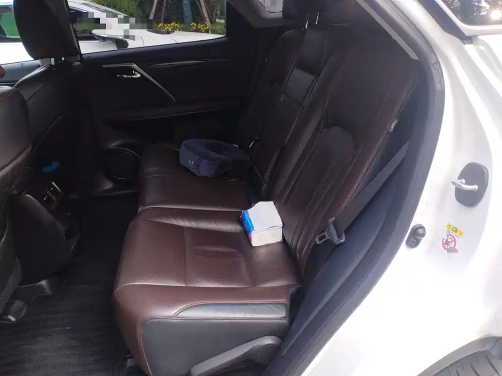 Lexus RX 2016 300 4WD Elegance Edition (China V) фото 15