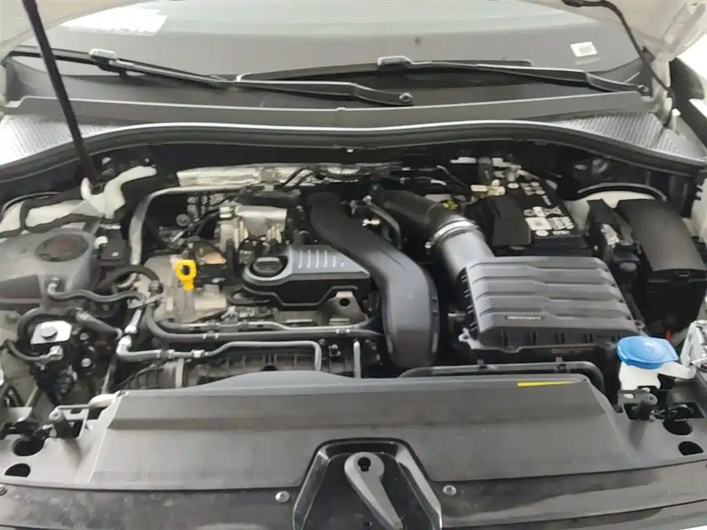 VOLKSWAGEN TANYUE