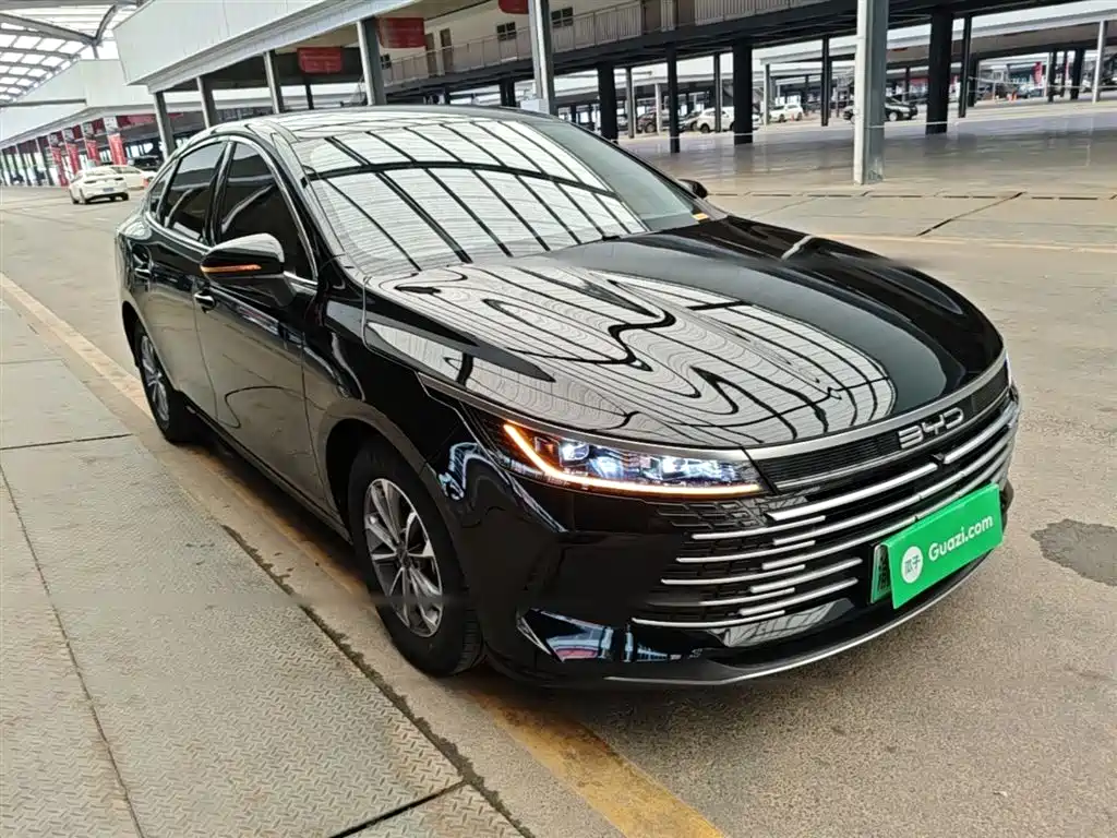 BYD Destroyer 05 2024 Glory Edition DM-i 55KM Luxury фото 4