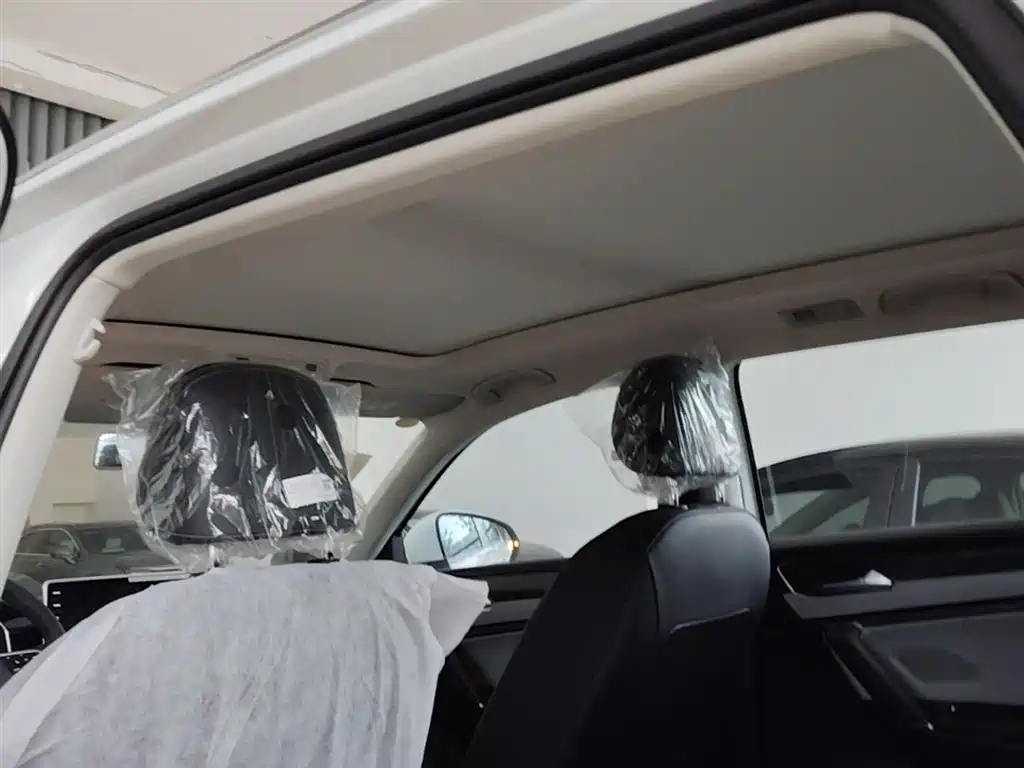 VOLKSWAGEN TANYUE