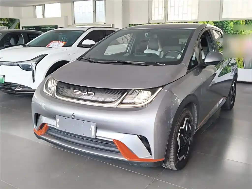 BYD Dolphin 2021 405km Freedom Edition