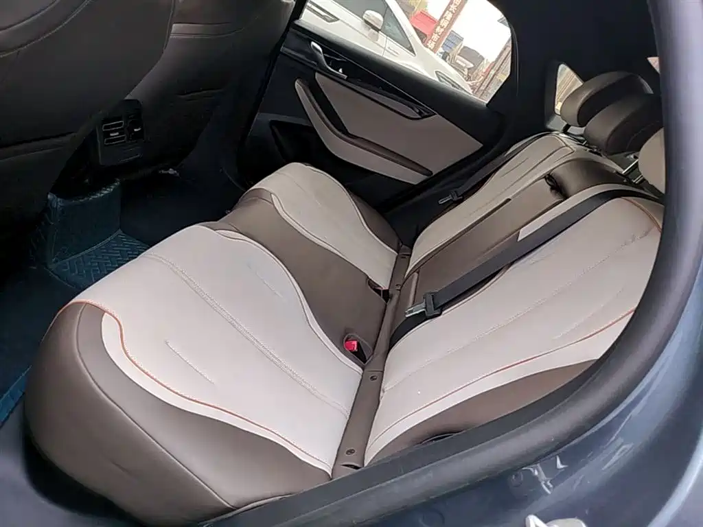BYD Qin PLUS 2024 Glory Edition EV 420KM Leading фото 17
