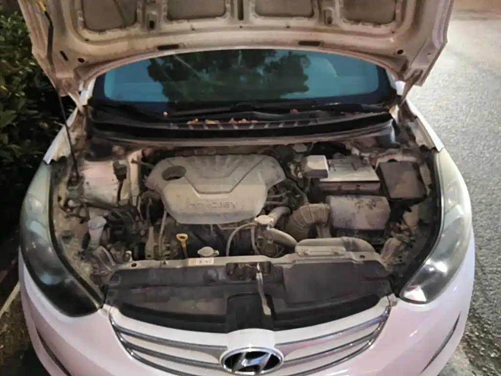 Photo 9 - Hyundai Langdong
