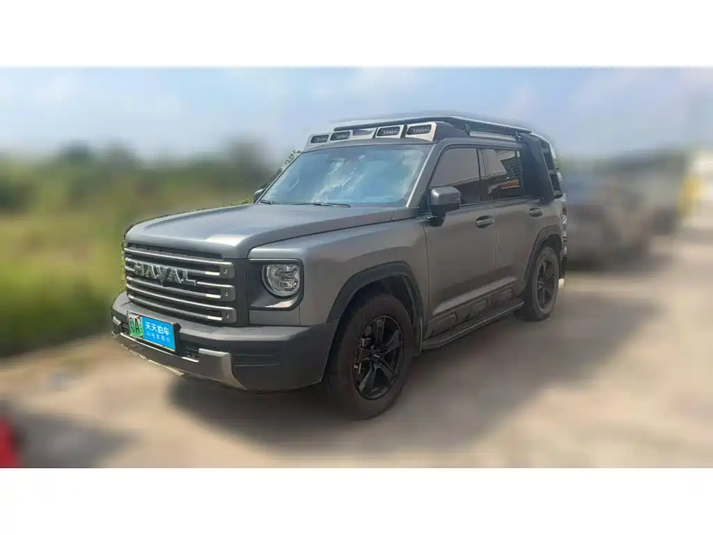 Haval Meng Long NEV 2024 — пригон из Китая