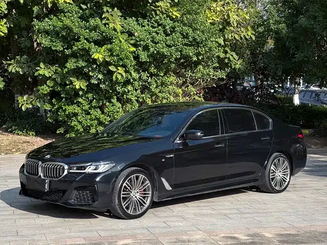 BMW 5 SERIES