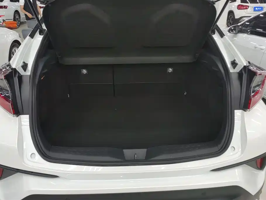 Toyota C-HR EV 2020 Premium Sunroof Edition фото 4