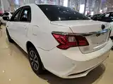 صورة 5 - BYD F3