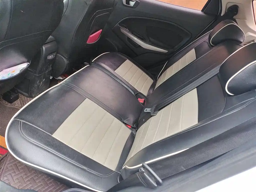 Ford EcoSport 2018 2018 1.5L Automatic Platinum Wing