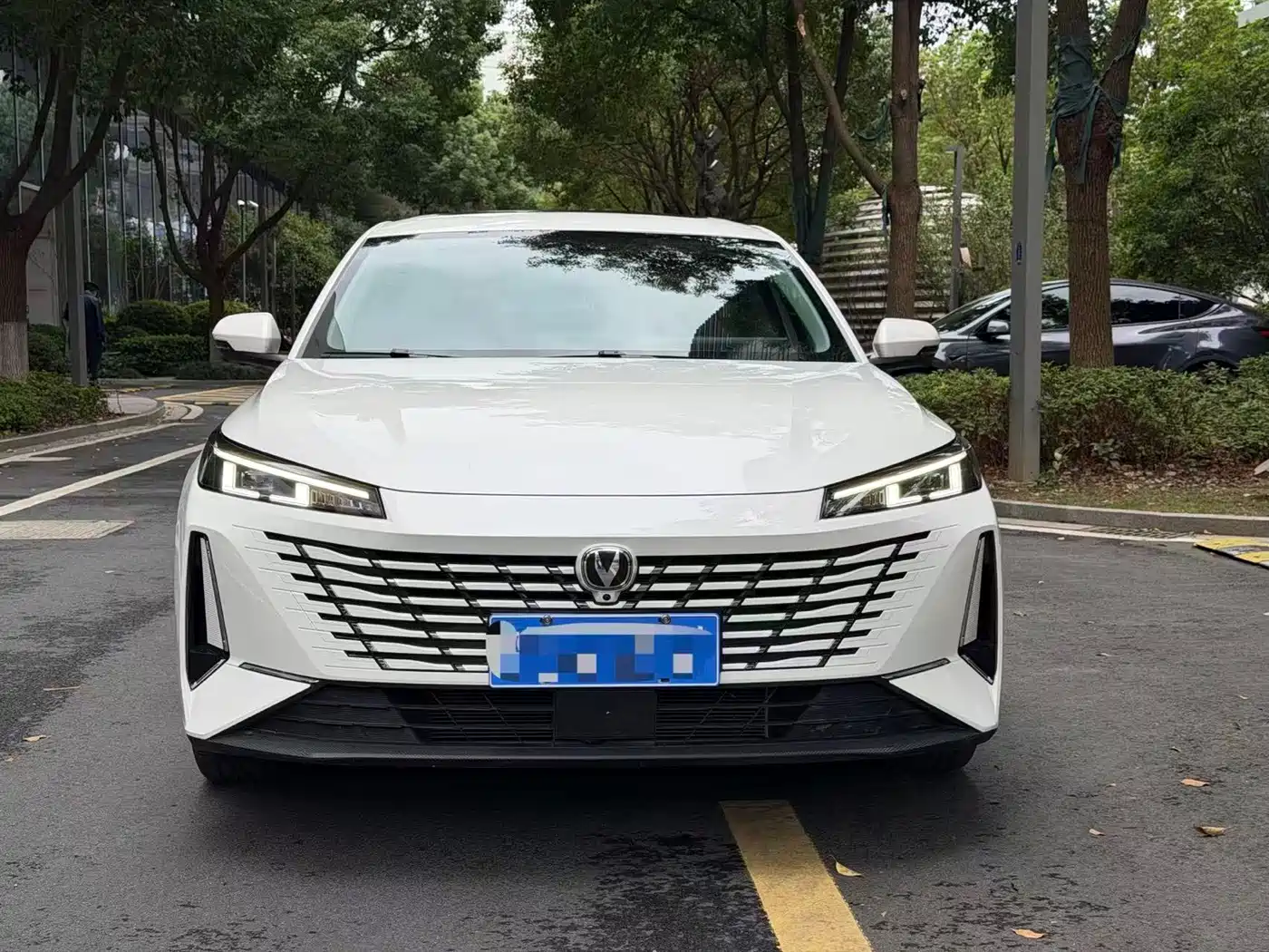 Фото 2 - Changan Eado