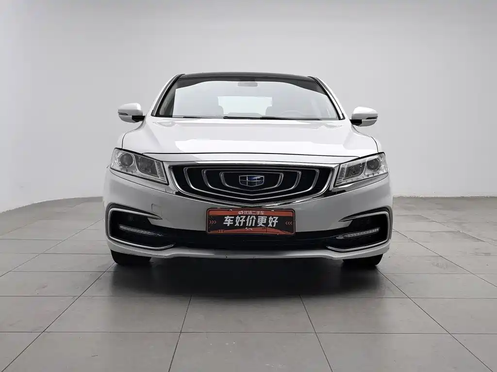 Фото 3 - Geely Borui