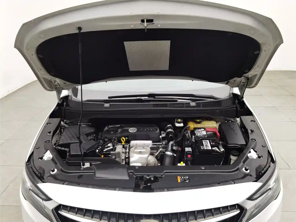 Buick GL6 2019 18T 6-seat Connected Luxury China VI фото 6