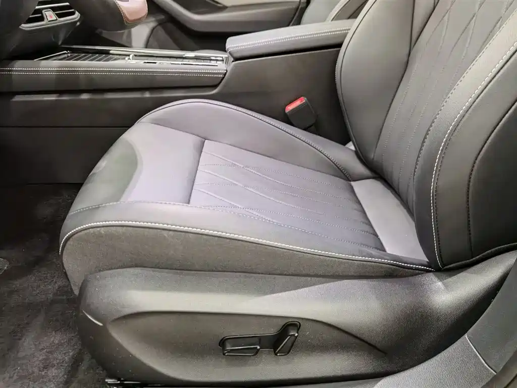 Volkswagen Magotan 2024 300TSI DSG Premium Edition фото 20