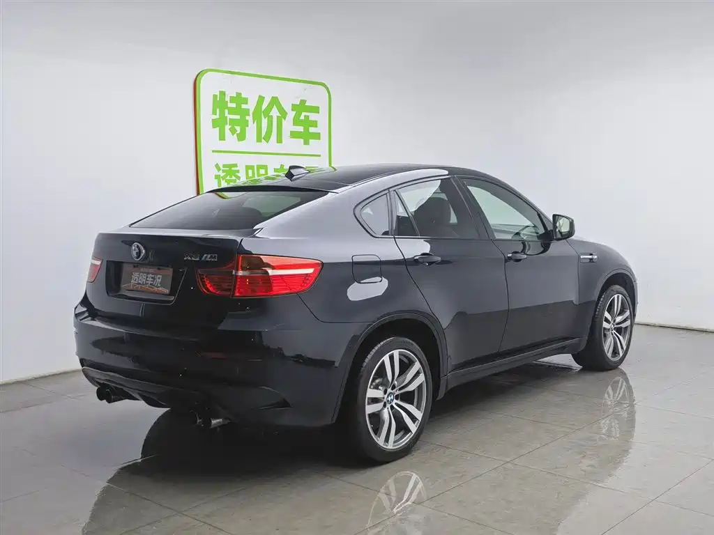 BMW X6 M 2010 X6 M фото 2