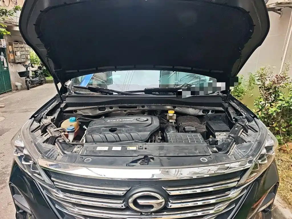 GAC Trumpchi Trumpchi GS5 2019 2019 270T Automatic Luxury