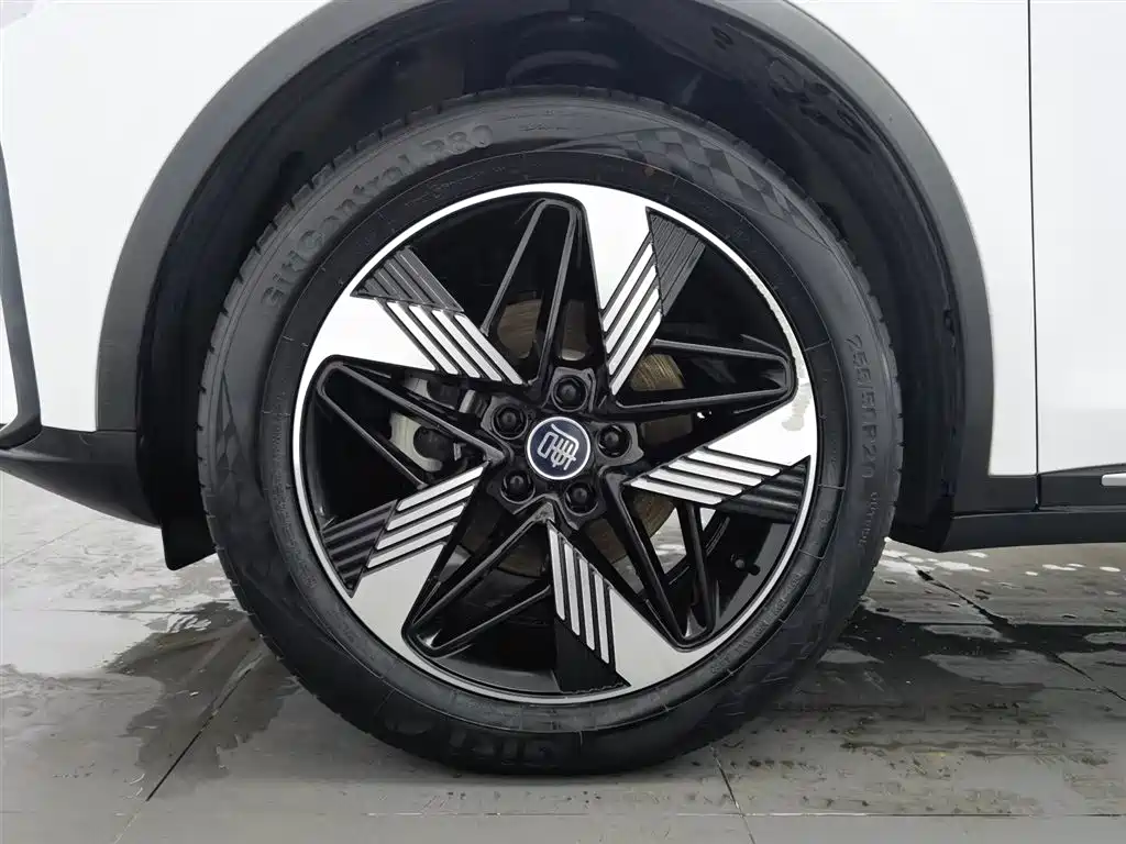 BYD Tang New Energy 2023 Model DM-i Champion Edition 112KM Premium фото 17