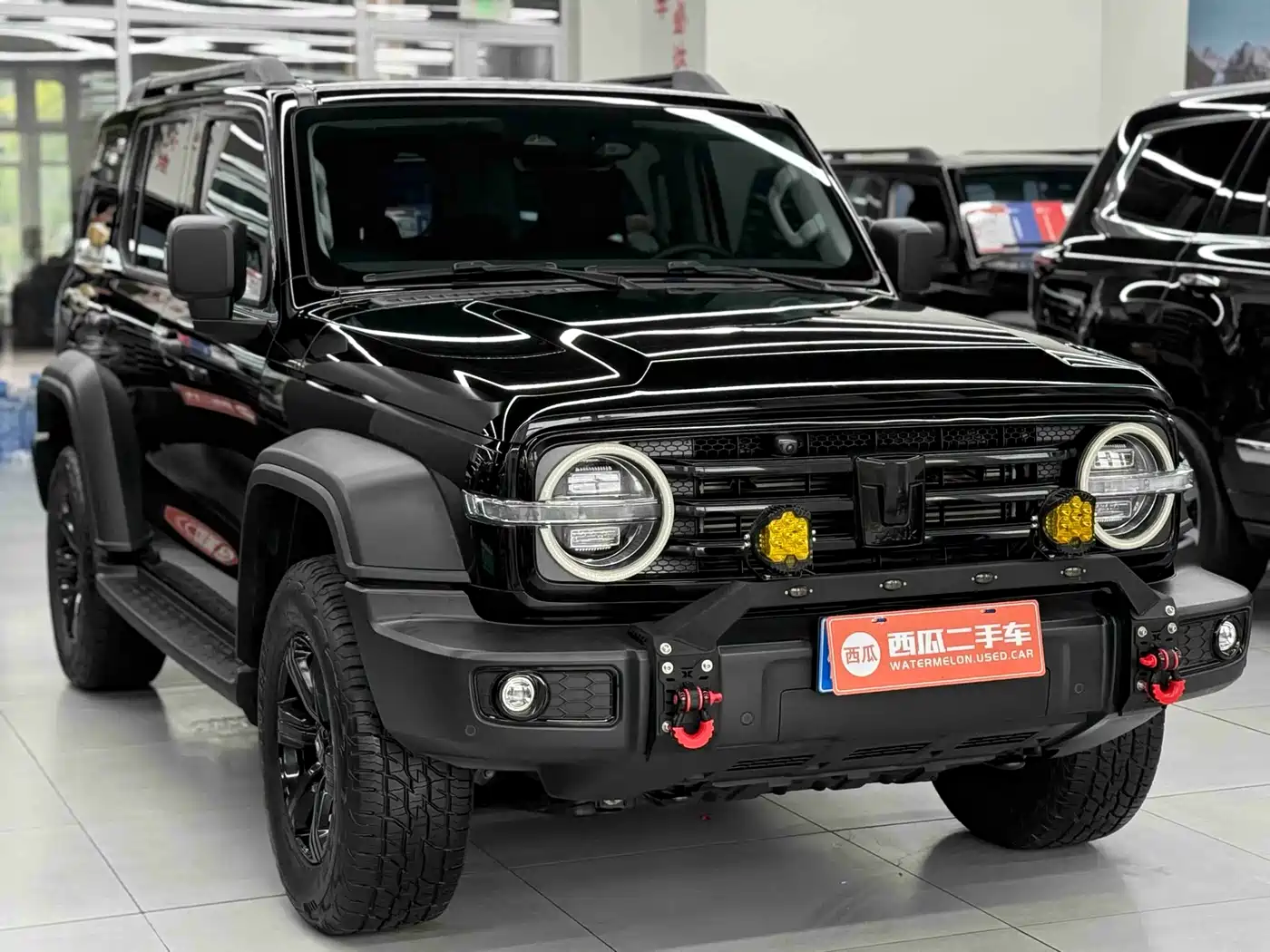 Tank 300 2023 Off-Road Edition 2.0T Conqueror фото 3
