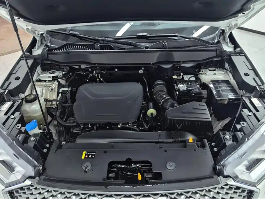 Haval H6 2024 Model 1.5T 2WD Classic Edition фото 10