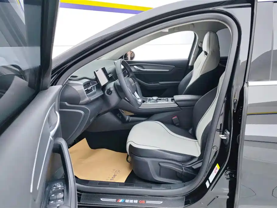 BYD Destroyer 05 2024 Glory Edition DM-i 120KM Luxury фото 9