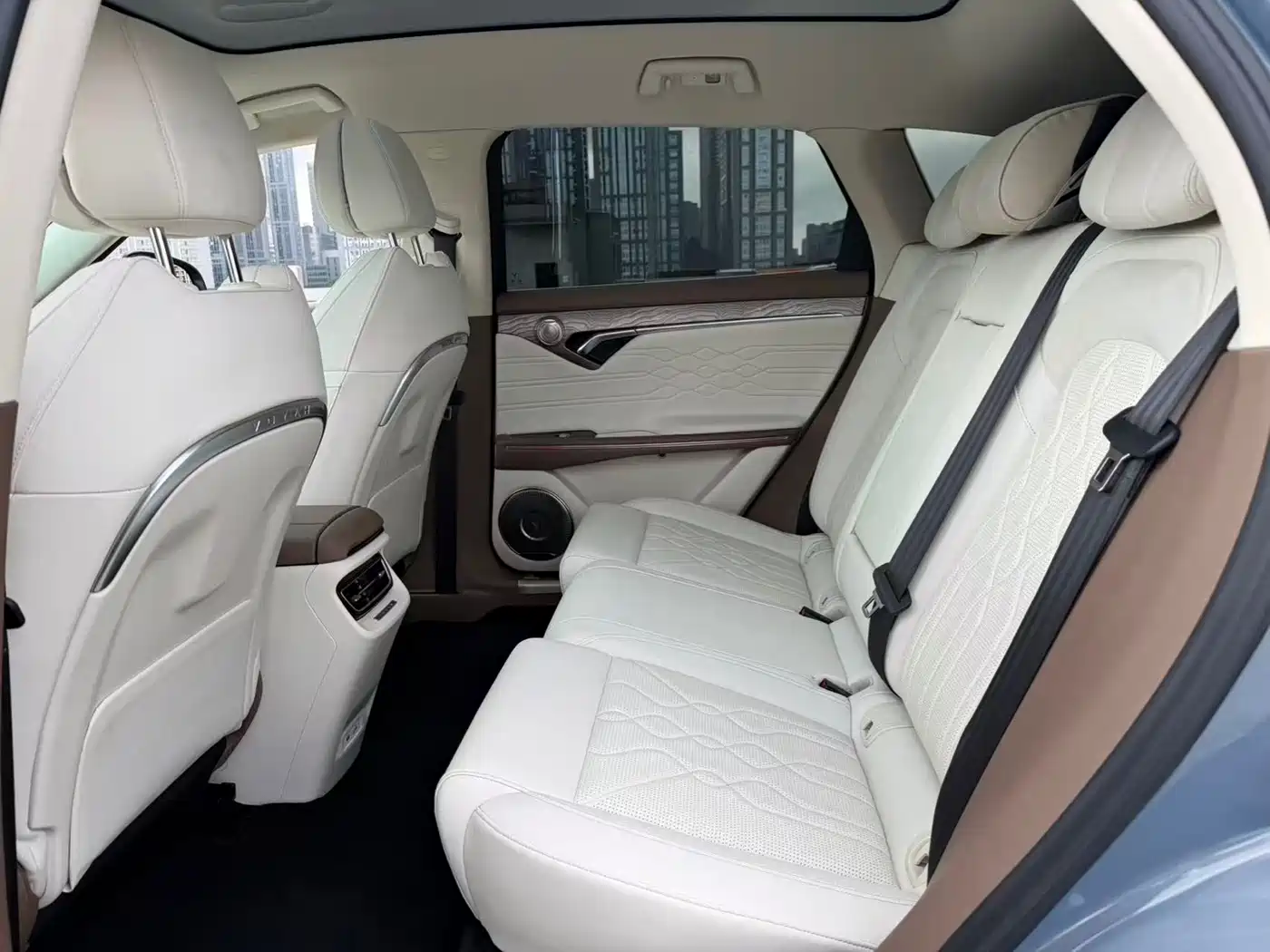 Voyah Auto VOYAH FREE 2021 AWD Standard Range Extender Exclusive Luxury Package фото 7