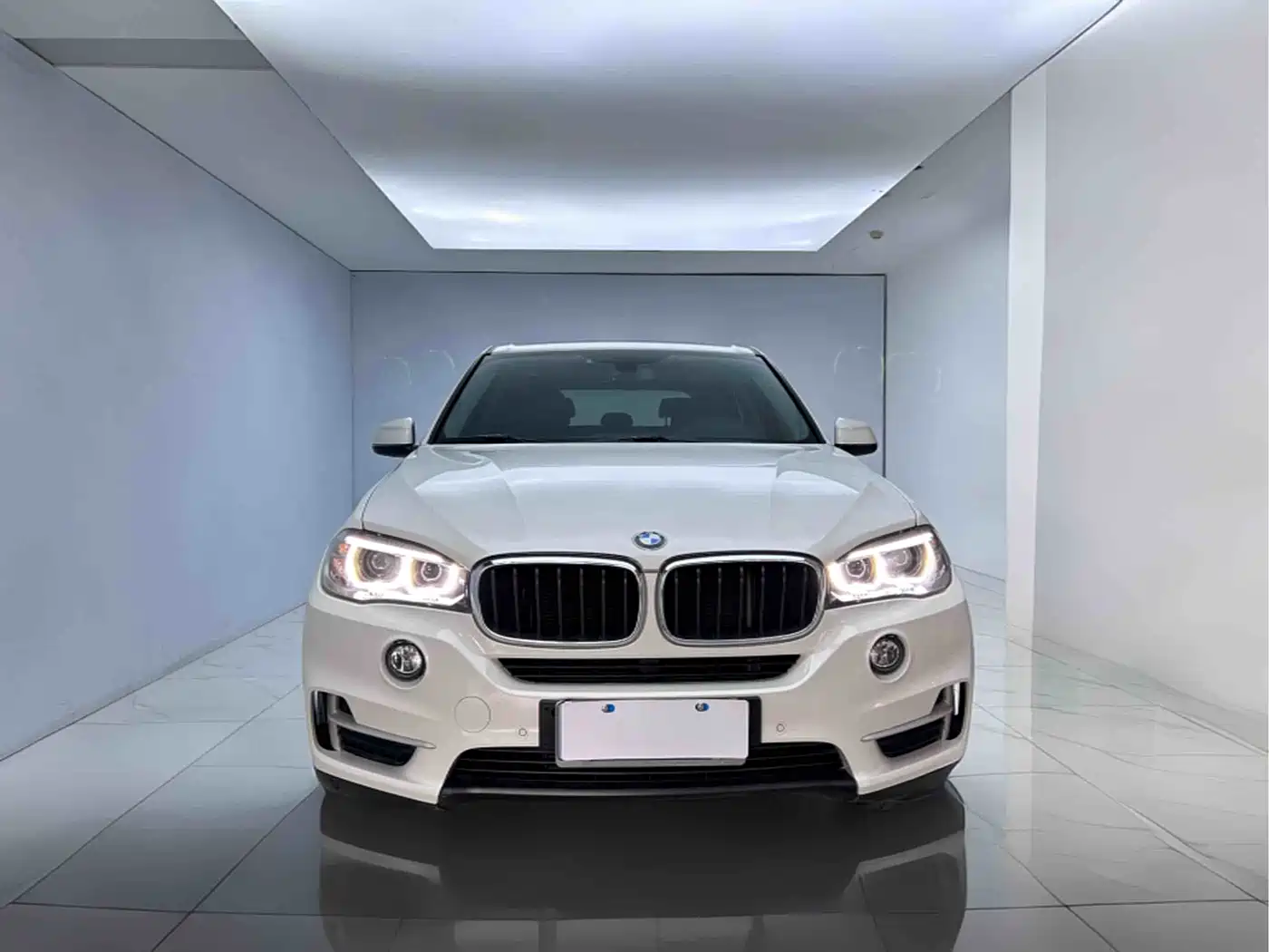 BMW X5 (Import) 2017 xDrive35i Leading Edition фото 2