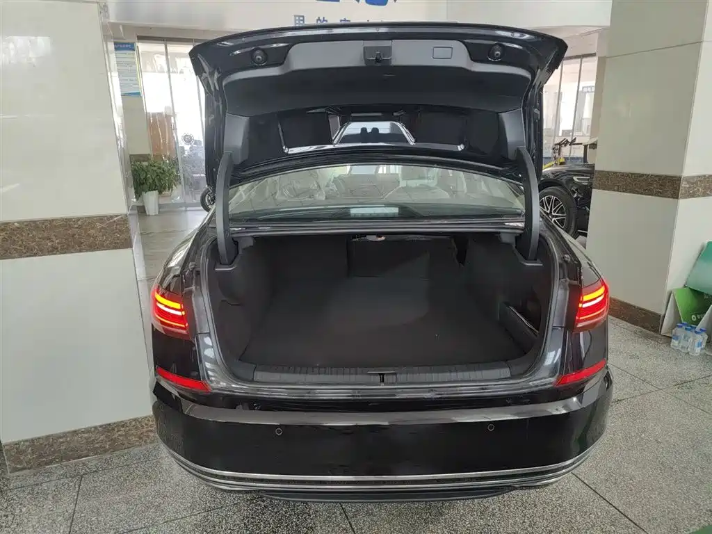 Volkswagen Passat New Energy 2025 430PHEV Hybrid Business Edition фото 15