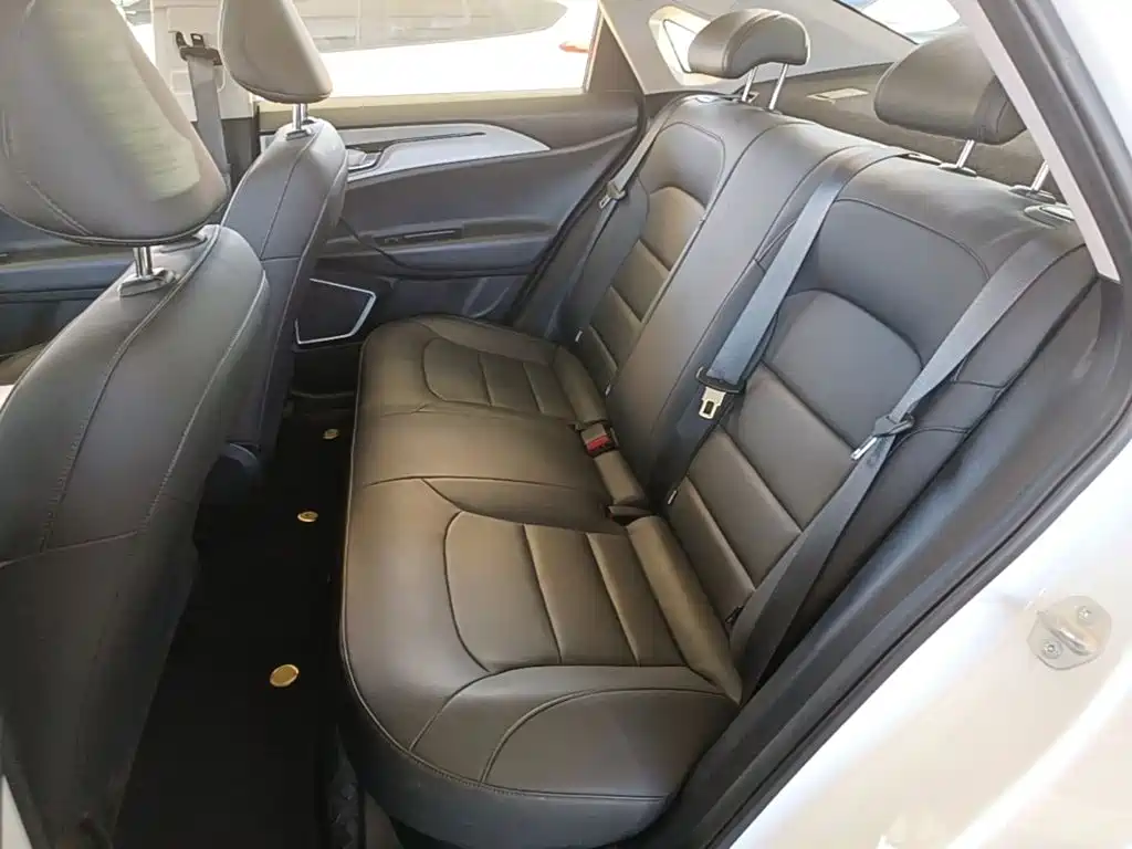 صورة 17 - Geely Geometry A
