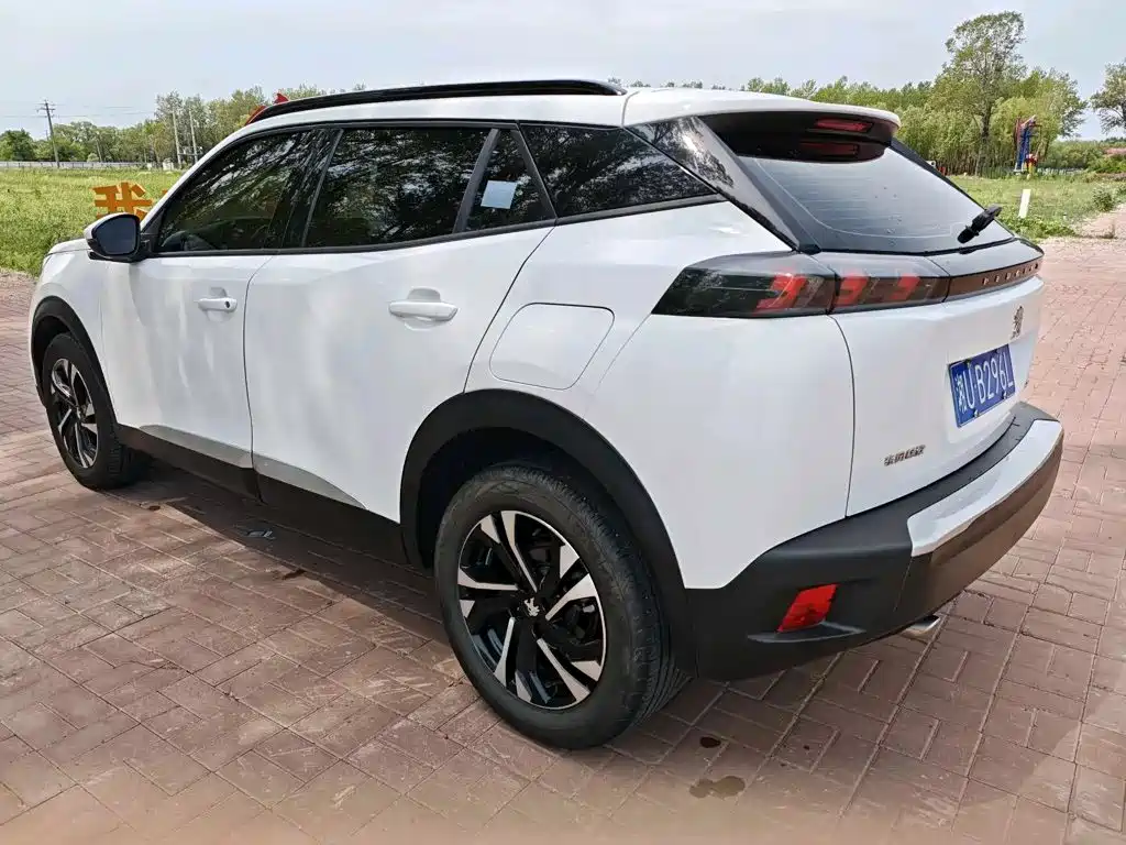 صورة 7 - Peugeot 2008