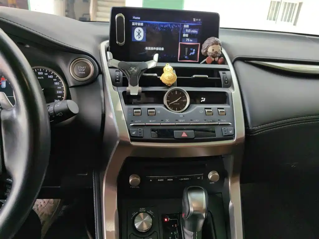 Lexus NX 2018 Model 300 FWD Fengxing Edition фото 10
